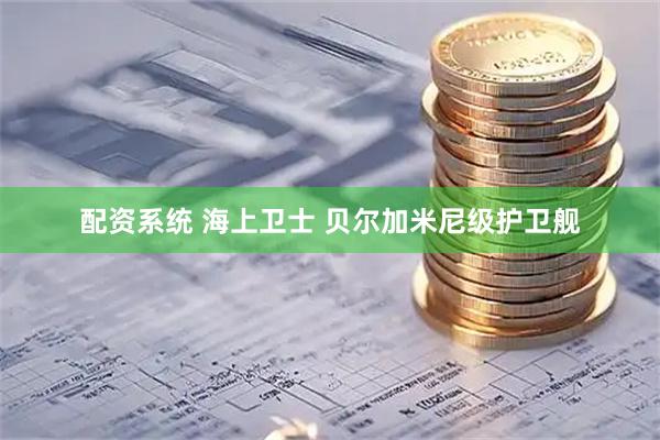 配资系统 海上卫士 贝尔加米尼级护卫舰