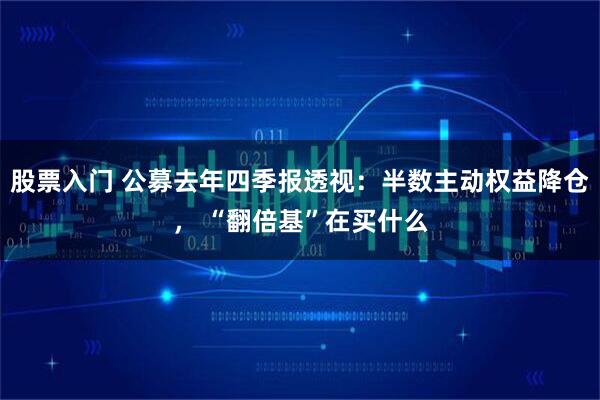 股票入门 公募去年四季报透视：半数主动权益降仓， “翻倍基”在买什么