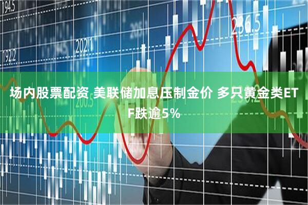 场内股票配资 美联储加息压制金价 多只黄金类ETF跌逾5%